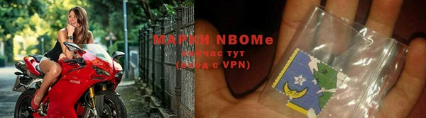 стафф Алексин