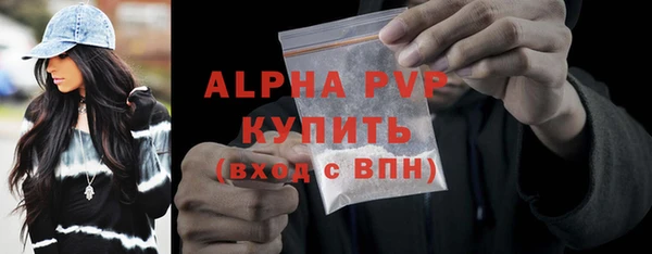стафф Алексин