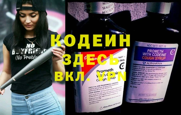 стафф Алексин