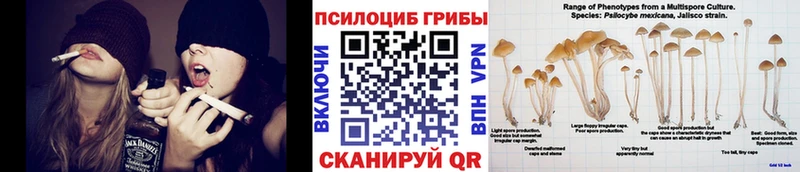 Псилоцибиновые грибы прущие грибы  Сольвычегодск 